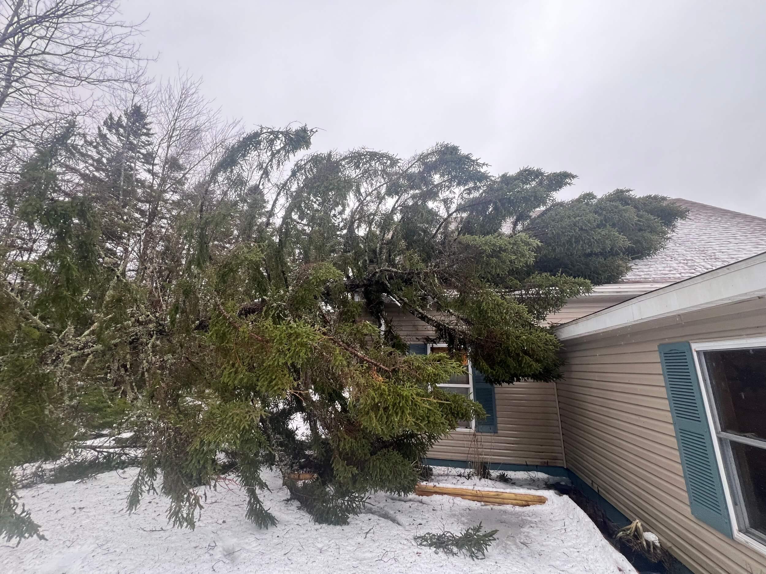 Tree fallen on house during storm requiring emergency removal