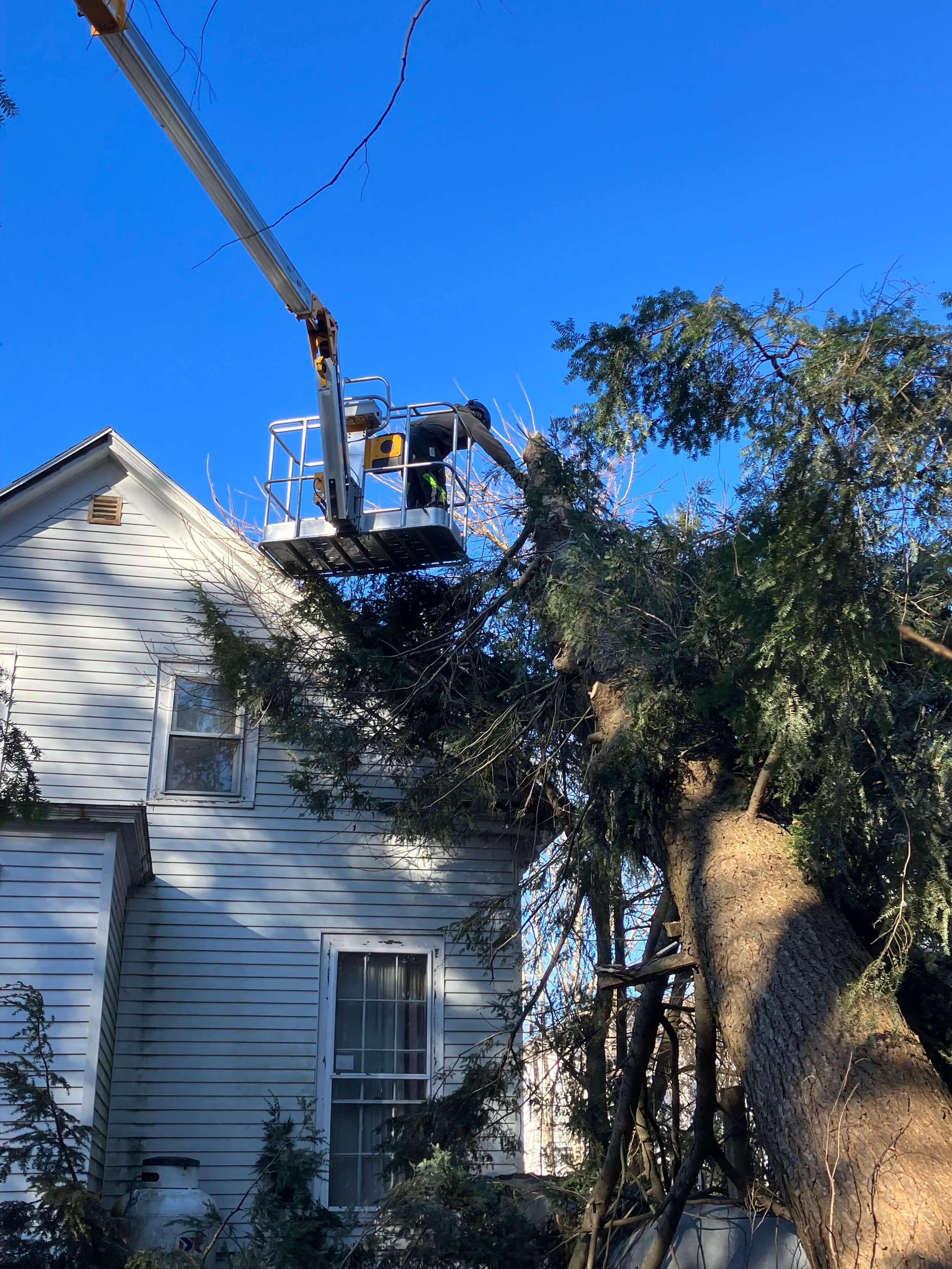 Emergency storm cleanup and tree removal