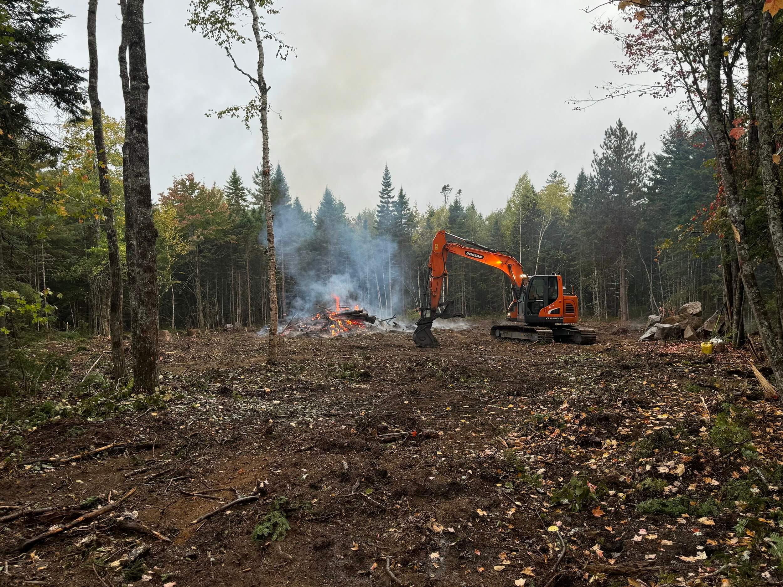 Professional stump grinding service