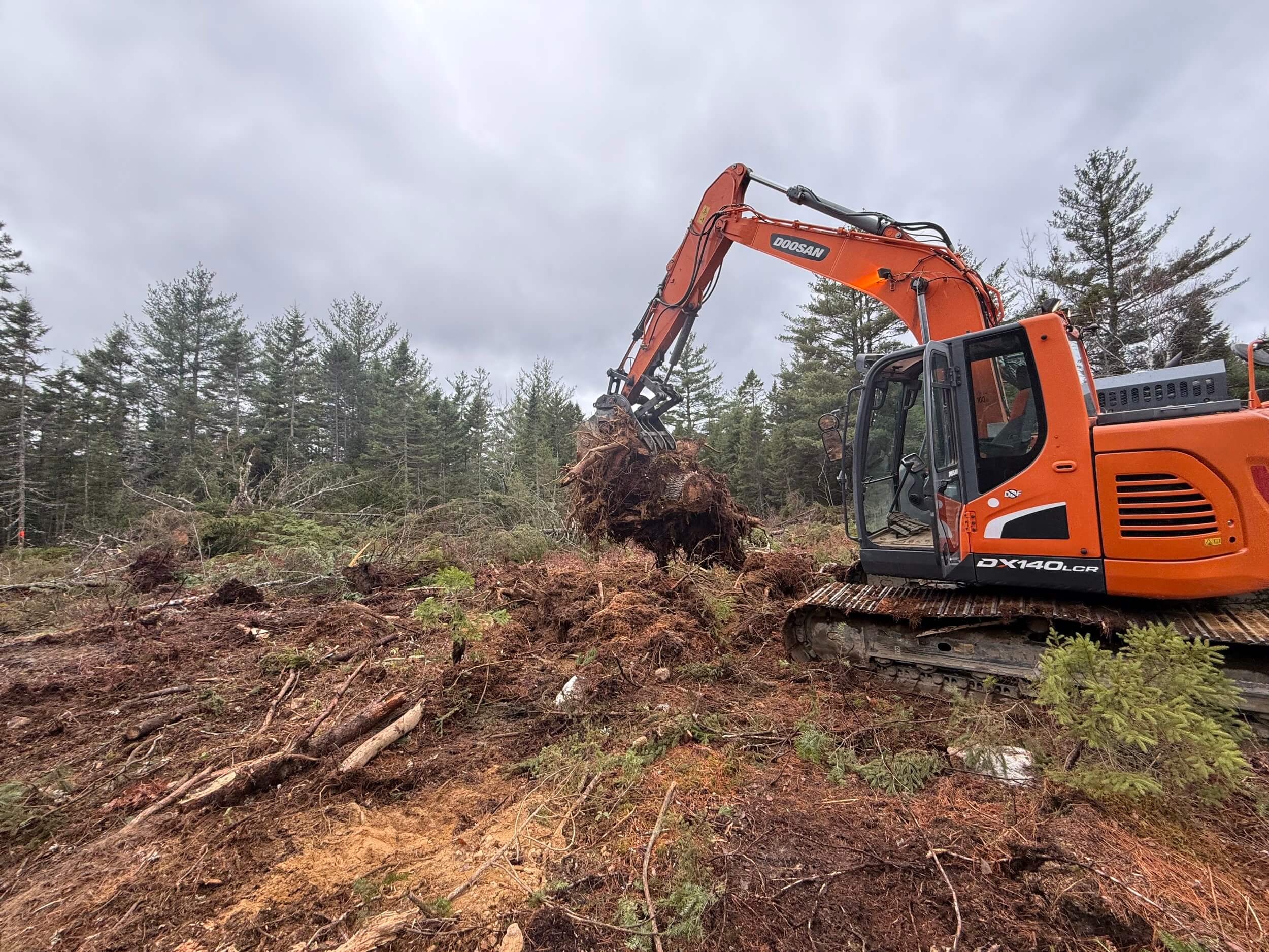 Site grading and preparation